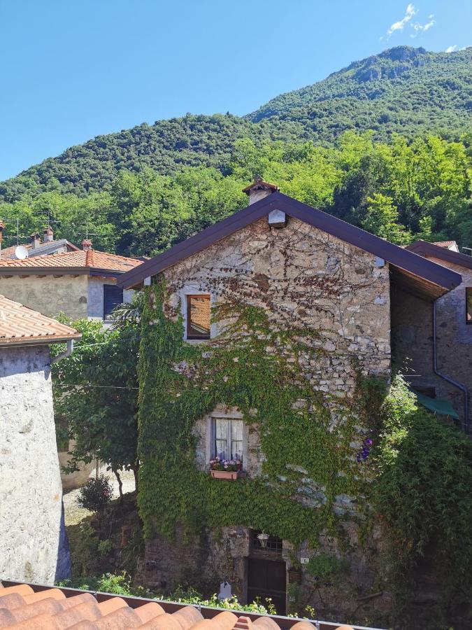 Alla Torre Del Barbarossa B&B Foresteria Mandello del Lario Ngoại thất bức ảnh
