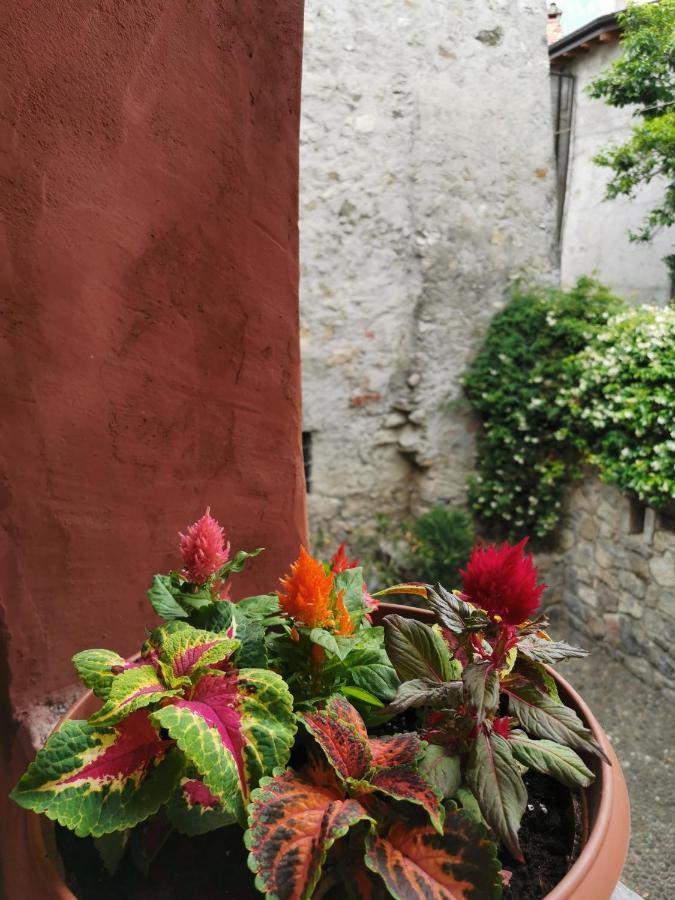 Alla Torre Del Barbarossa B&B Foresteria Mandello del Lario Ngoại thất bức ảnh
