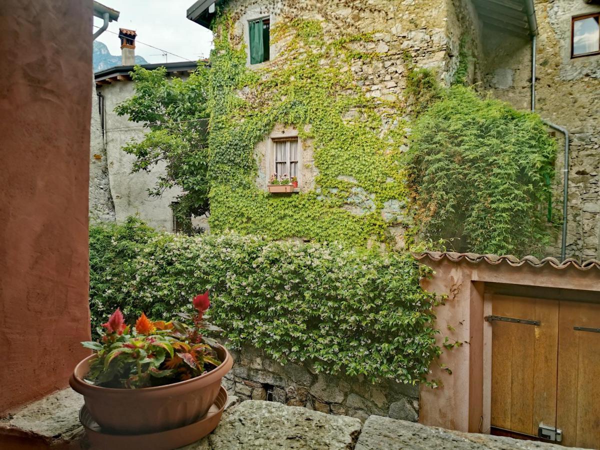 Alla Torre Del Barbarossa B&B Foresteria Mandello del Lario Ngoại thất bức ảnh